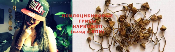 mdma Горняк