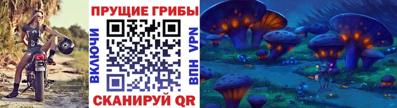 Галлюциногенные грибы MAGIC MUSHROOMS  mega как войти  Дрезна 